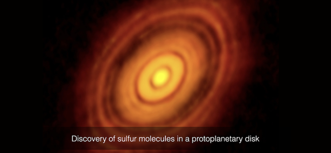 Discovery of sulfur molecules in a protoplanetary disk