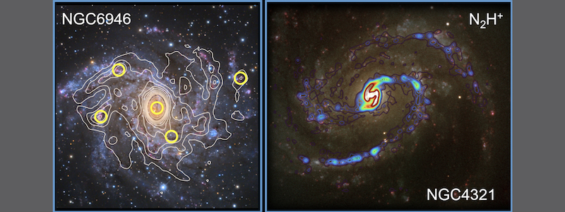 Properties of the densest and coldest gas in galaxies revealed